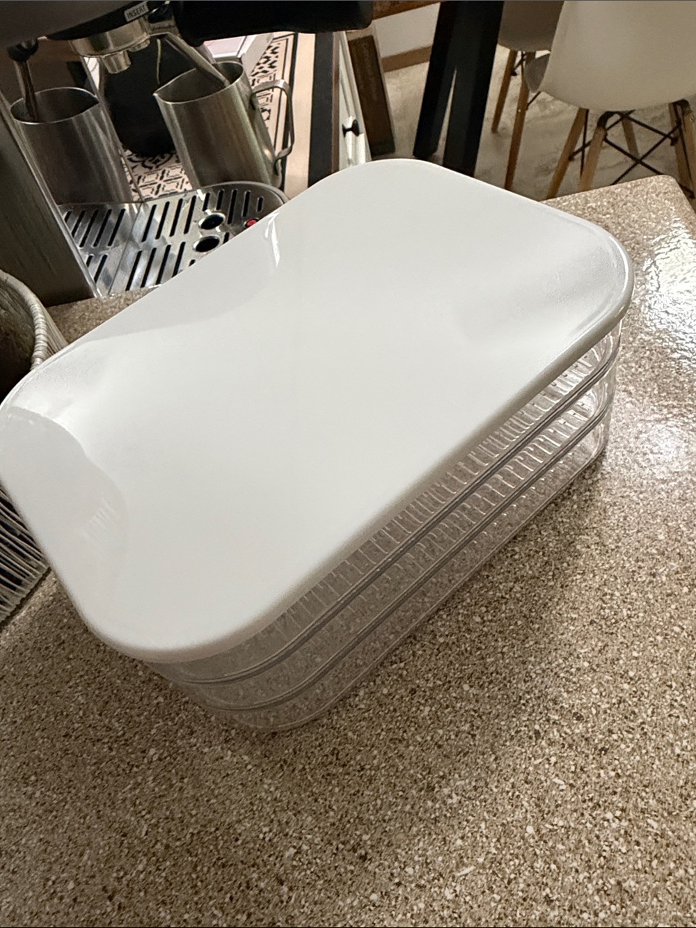 Transparent Food Storage Box